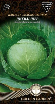 Капуста білоголова  Дітмаршер /1г/