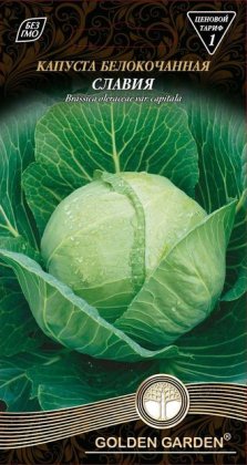 Капуста білоголова  Славія /1г/