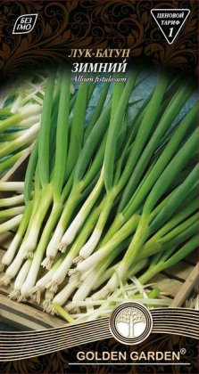 Лук-батун Зимний /1г/
