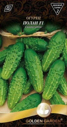 Огірок Полан F1 /0,5г/