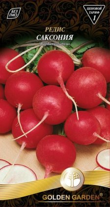Редис Саксония /3г/