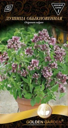 Материнка звичайна  /0,1г/