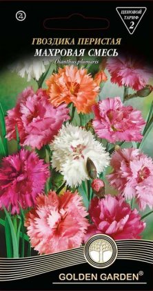 Гвоздика перистая махровая  смесь /0,3г/