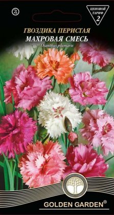 Гвоздика перистая махровая  смесь /0,3г/