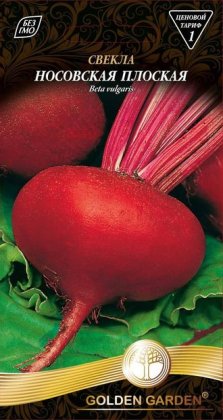 Буряк Носівський плоский /3г/