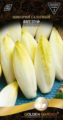 Цикорий салатный Витлуф /1г/
