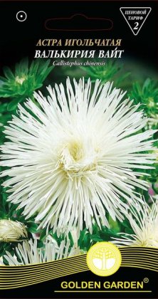 Астра игольчатая Валькирия вайт /0,25г/