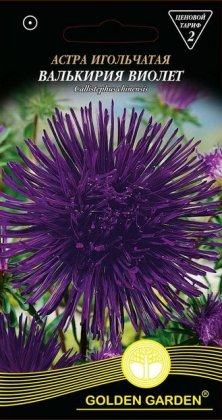 Астра игольчатая Валькирия виолет /0,25г/