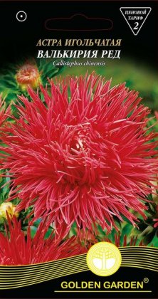 Астра игольчатая Валькирия ред /0,25г/