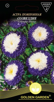 Айстра помпонна    Сузір'я /0,25г/