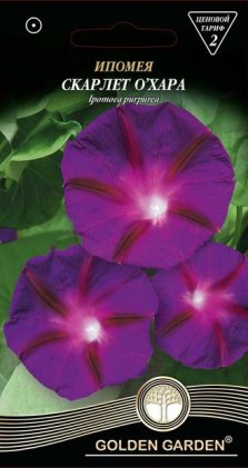 Іпомея Скарлет О'Хара /1г/