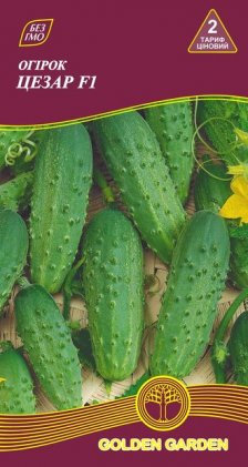Огірок Цезар F1 /0,5г/