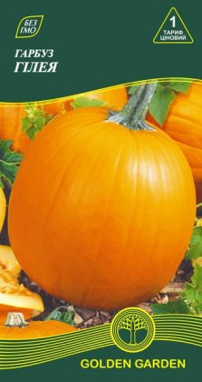 Гарбуз Гілея /3г/