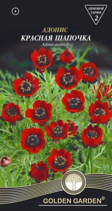 Адонис Красная шапочка /1г/