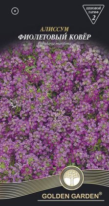 Алиссум Фиолетовый ковер /0,2г/