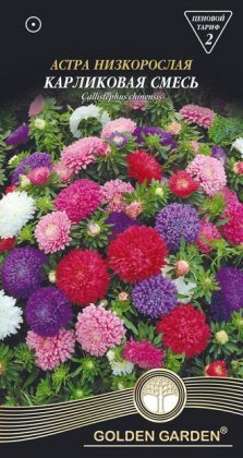 Астра низкорослая Карликовая смесь /0,3г/