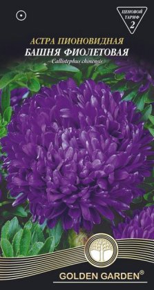 Айстра піоновидна   Башта фіолетова/0,25г/