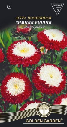 Айстра помпонна    Зимова Вишня /0,25г/