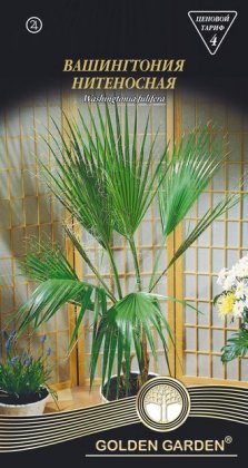 Вашингтония нитеносная /5шт/