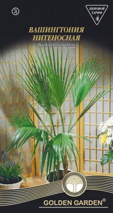 Вашингтонія нитконосна /5шт/