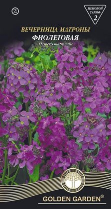 Вечерница матроны фиолетовая /0,5г/