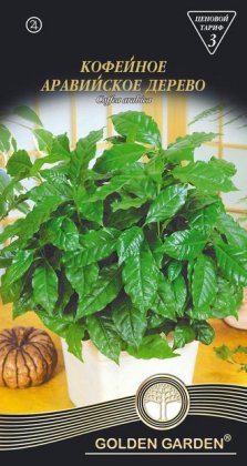 Кофейное аравийское дерево /1г/