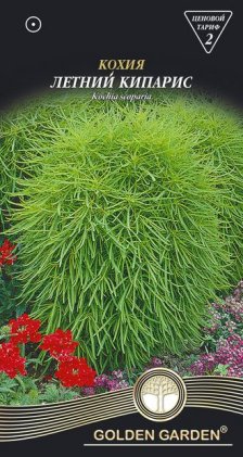 Кохія Літній кіпарис /0,5г/