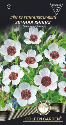 Льон великоквітковий Зимова вишня /0,3г/