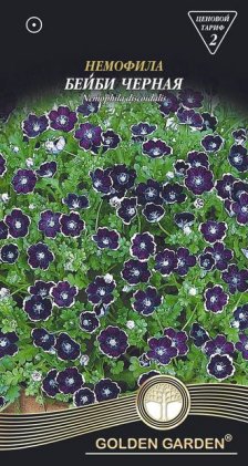 Немофіла Бейбі чорна /0,3г/