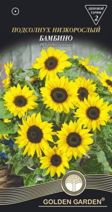 Подсолнух низкорослый Бамбино /1г/