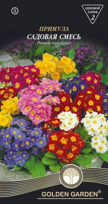 Примула садовая смесь /0,1г/
