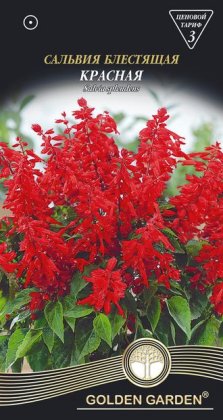 Сальвия блестящая красная /0,2г/