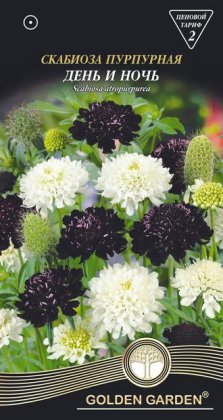 Скабиоза пурпурная День и ночь /0,3г/