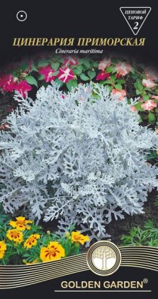 Цинерария приморская /0,1г/