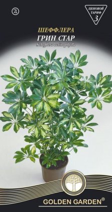 Шеффлера Грин стар /5шт/